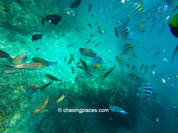 The magnificent underwater world of the Gili Islands