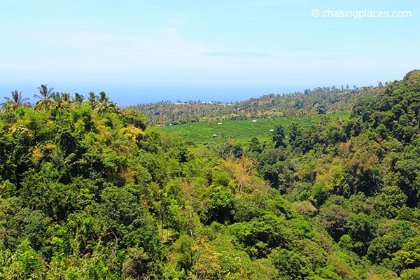 The sweeping view from Senaru Lombok