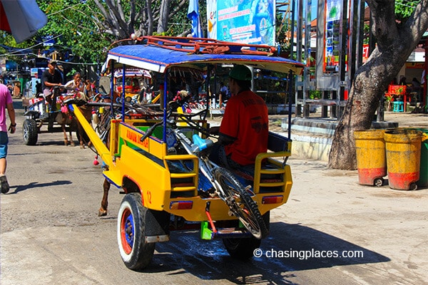 The main transportation on Gili Trawangan aside from bicycles is the horse cart.