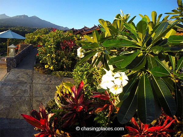 Rinjani Lodge has beautiful flowers surrounding their property