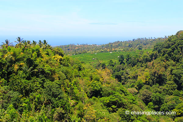 Lush Panoramic View from Senaru