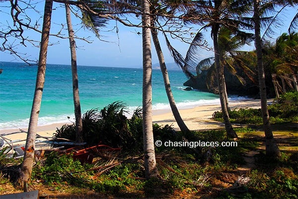 The patch of green at the back of the beach